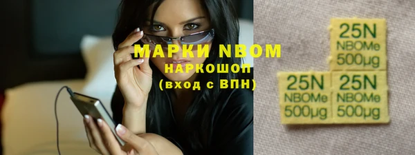 прущие грибы Белокуриха