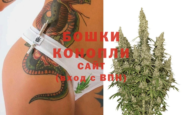 прущие грибы Белокуриха